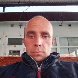 , 37, 