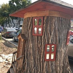 �������, ����������, 62 ����