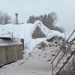 ����, ������, 41 ���