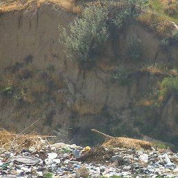 �����, �����, 45 ���