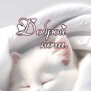 ���� �������, ������, 45 ��� - ��������� 27 ����� 2026 � ������ ������ ��������
