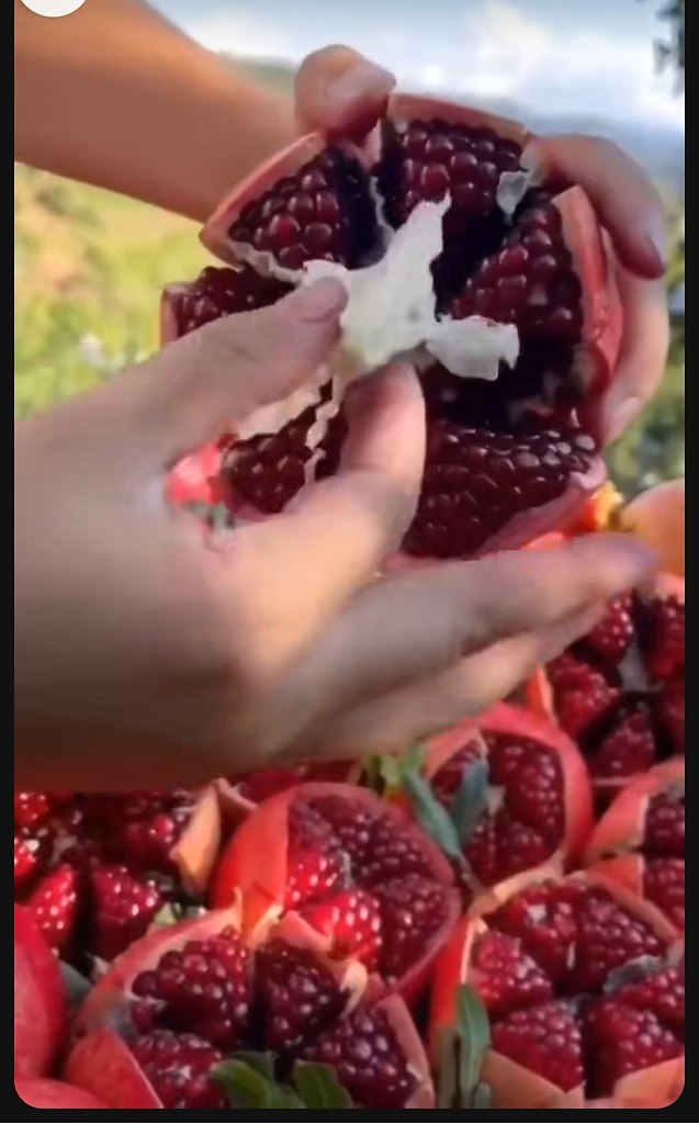     - 6