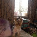 ���� �����, ����������, 62 ���� - ��������� 27 ������� 2025 � ������ ���� ����������