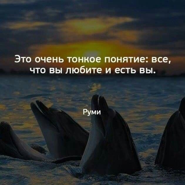   - 19  2025  18:53