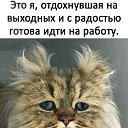 ���� ����, ����� - ��������� 12 ������� 2025 � ������ ������ ��������
