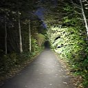 ���� ��������, �����-���������, 52 ���� - ��������� 1 ��� 2026 � ������ �������