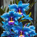 ���� Ayoub, ����, 52 ���� - ��������� 28 ������ 2025 � ������ ���� ����������