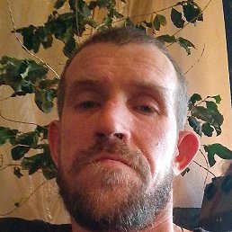 �����, ������, 40 ���