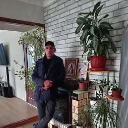 �������, 43 ����, ����