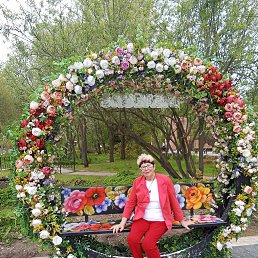  , --, 71  -  20  2024