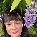 ���� �����, ������, 45 ��� - ��������� 31 ������� 2025 � ������ ���� ����������