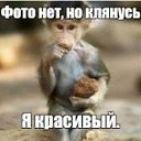 ���� ������, �������, 42 ���� - ��������� 24 ������� 2023 � ������ ���� ����������