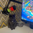 ���� ��������� � 221, ������ ��������, 58 ��� - ��������� 18 ������ 2025 � ������ ���� ����������