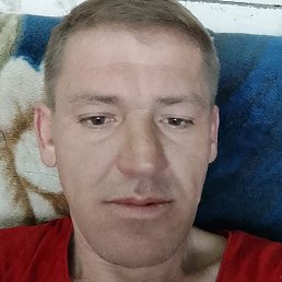 �����, ������, 46 ���