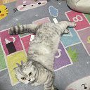 ���� ������, ������, 38 ��� - ��������� 12 ������� 2025 � ������ ������ ��������