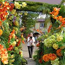 ���� �������, ������������ - ��������� 10 ���� 2024 � ������ ���� ����������