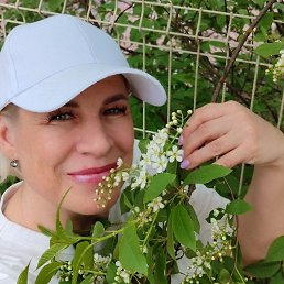 �����, �������, 50 ���