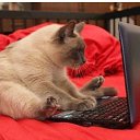 ���� ������, ���������, 62 ���� - ��������� 20 ���� 2024 � ������ ������ ��������