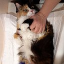 ���� �������, �����-��������� - ��������� 24 ������ 2025 � ������ ������ ��������