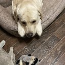 ���� �����, ���� - ��������� 15 ������� 2024 � ������ ������