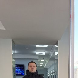 , 33, 