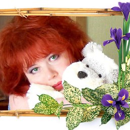 �����, �����, 54 ����