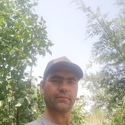 , 36, 