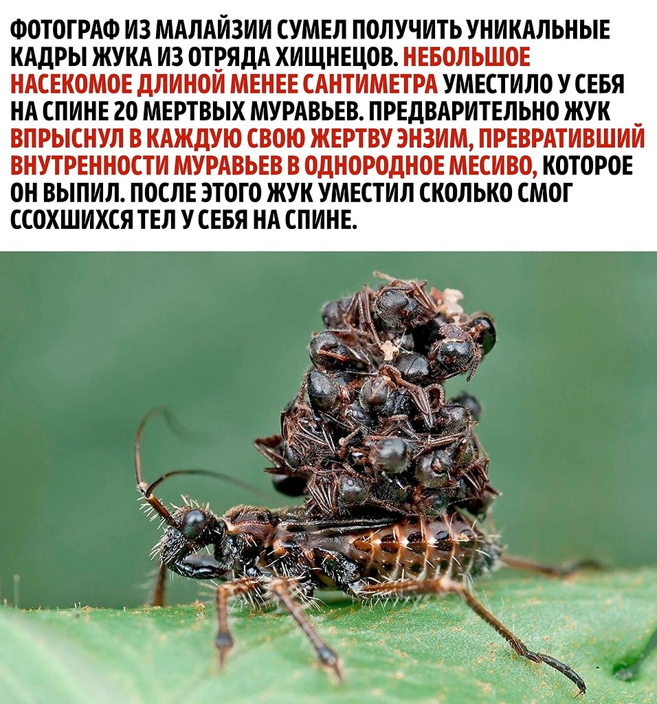      - 2