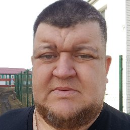 ������, ����, 41 ���