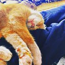 ���� Onur, �������, 39 ��� - ��������� 28 ��� 2025 � ������ ������ ��������