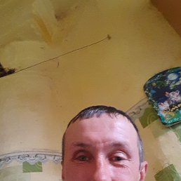 ���� ������ �������, ������, 46 ��� - ��������� 9 ������� 2024