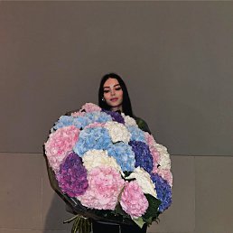 , 26, 