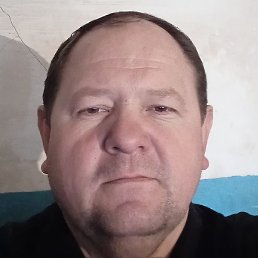 ������, ����������, 41 ���