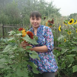 ���������, 41 ���, ����