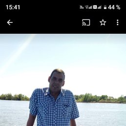 , 49 , --