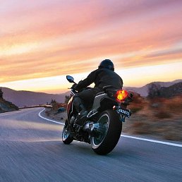 Slawik, �����, 49 ���