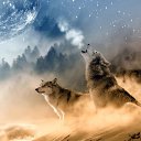 ���� �������, ������, 35 ��� - ��������� 21 ������� 2024 � ������ ���� ����������