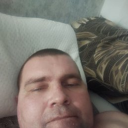 , 41, 