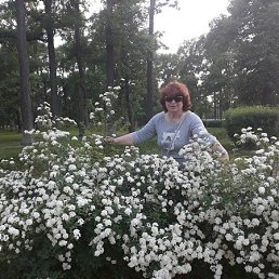 ���� ������, �����-���������, 60 ��� - ��������� 20 ����� 2026