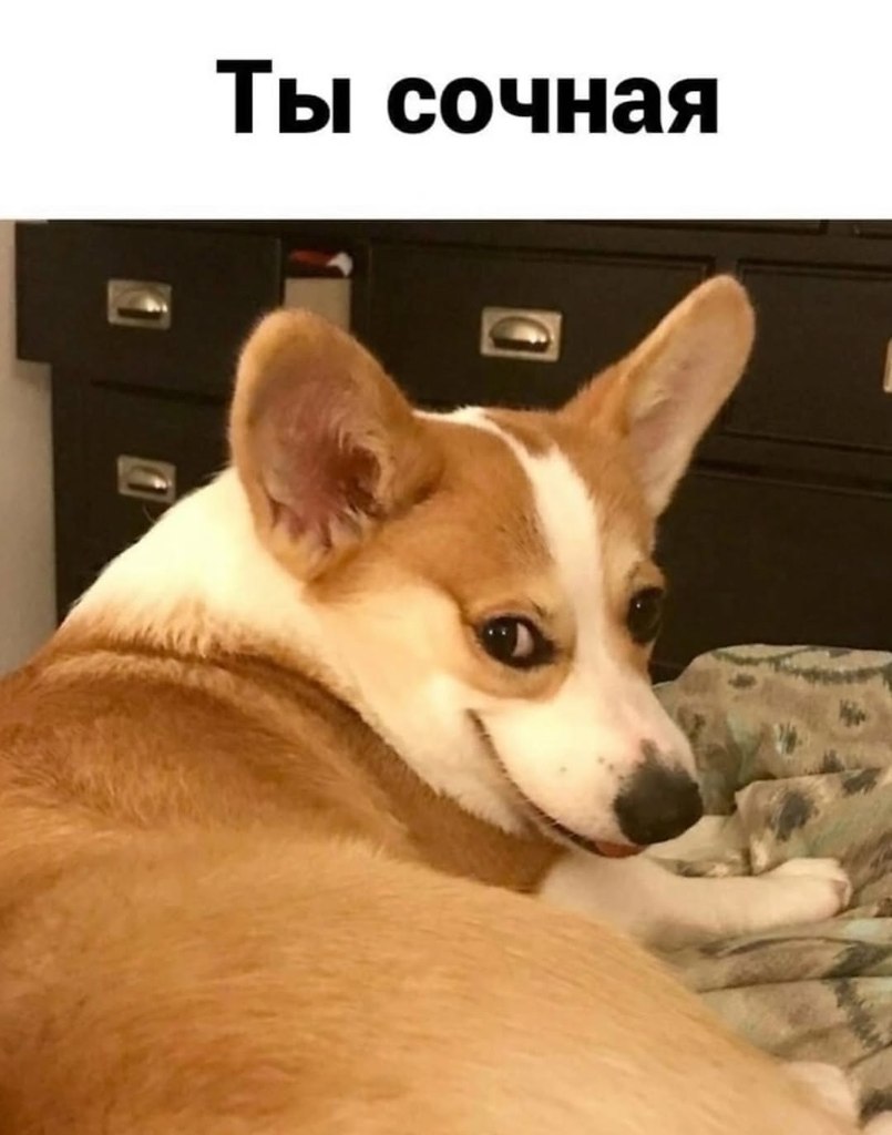 ������, ������ �����) - 2