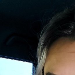 ���������, ���������, 41 ���