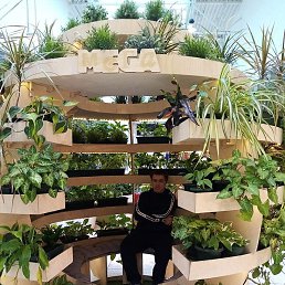 ���������, ������������, 41 ���