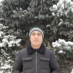 �����, ���������, 46 ���