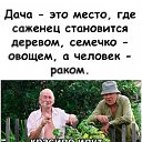 ���� ���, ������, 52 ���� - ��������� 27 ���� 2026