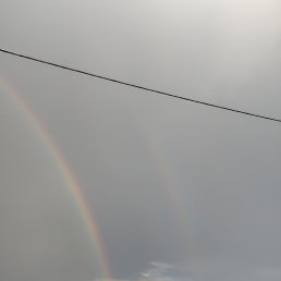 ���� �����, ������, 49 ��� - ��������� 20 �������� 2024