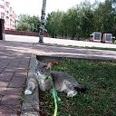 ���� &hearts;�����&hearts;, ����-��� - ��������� 13 ������ 2025 � ������ ������ ��������