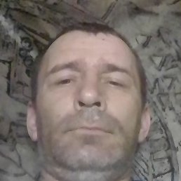 ����, ����, 39 ���