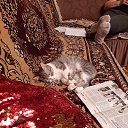 ���� ������, ������, 43 ���� - ��������� 28 ������ 2024 � ������ ���� ����������