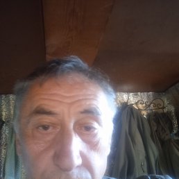 ���� ������, ����, 67 ��� - ��������� 7 �������� 2026