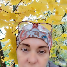 , 52, 
